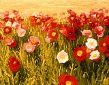 Shirley Novak Famous Paintings - Poppies Make Me Happy